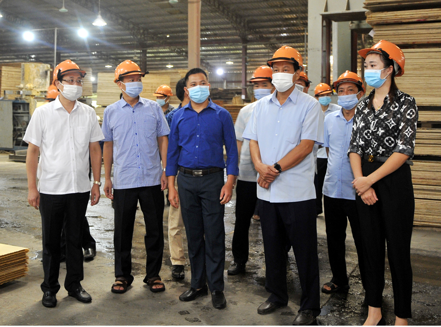 Chủ tịch UBND tỉnh Nguyễn Văn Sơn thăm Nhà máy sản xuất và chế biến gỗ công nghệ cao của Công ty TNHH Thái Dương.