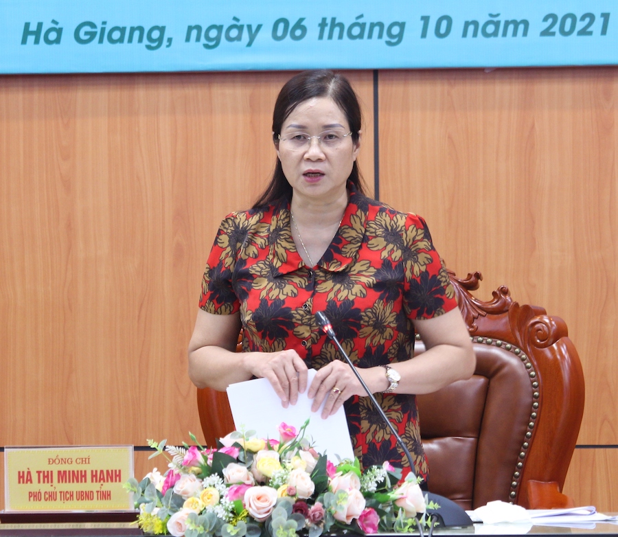 Phó Chủ tịch UBND tỉnh Hà Thị Minh Hạnh phát biểu tại hội nghị.