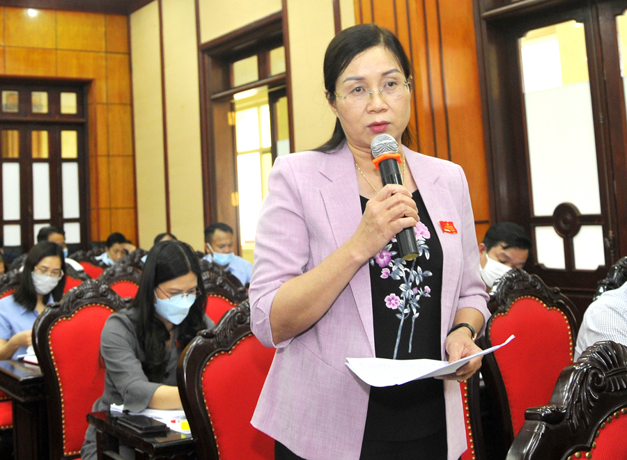 Phó Chủ tịch UBND tỉnh Hà Thị Minh Hạnh phát biểu giải trình một số nội dung tại kỳ họp.