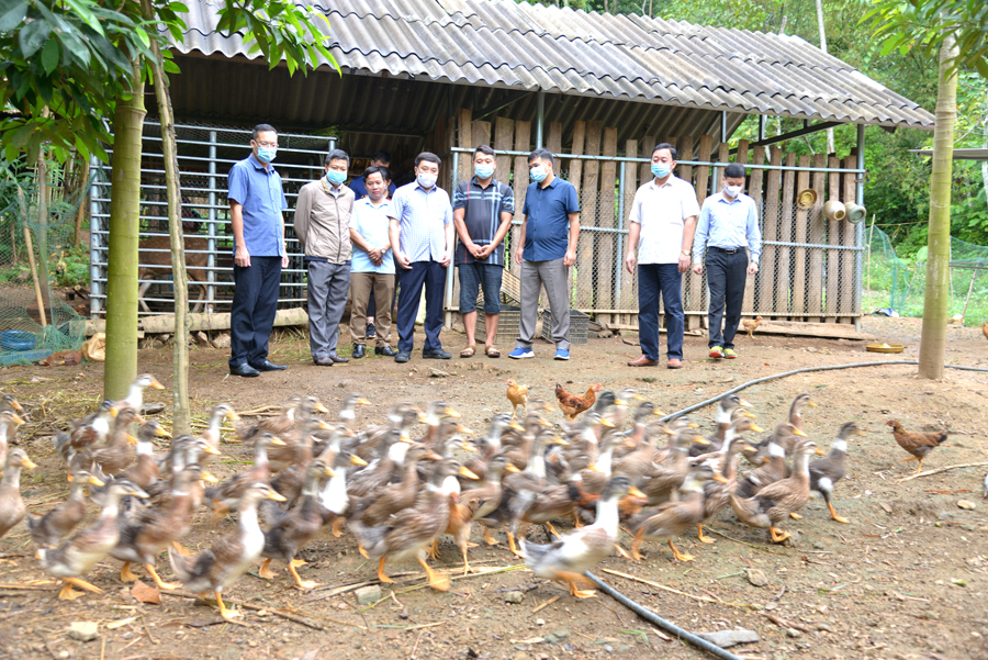 Phó Bí thư Tỉnh ủy Nguyễn Mạnh Dũng thăm mô hình nuôi vịt tại thôn Tân Thành.