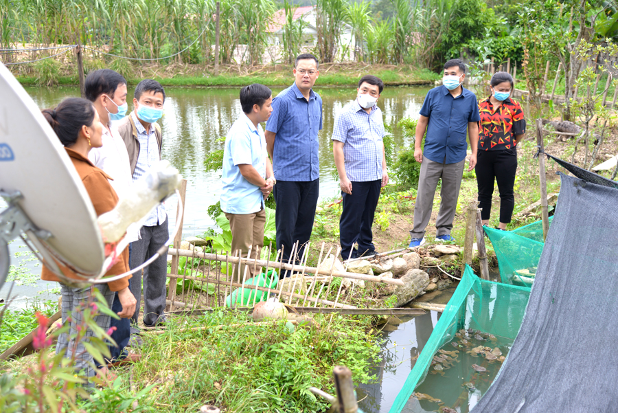 Phó Bí thư Tỉnh ủy Nguyễn Mạnh Dũng thăm mô hình nuôi ếch, cá tại thôn Chang