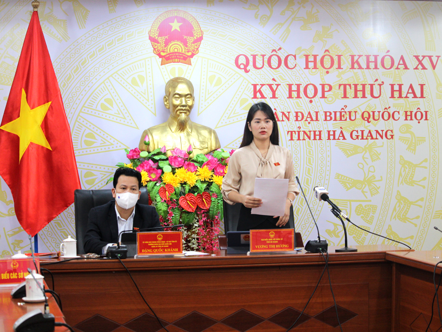 Đại biểu Vương Thị Hương, Đoàn ĐBQH tỉnh phát biểu thảo luận trực tuyến về dự án Luật CSCĐ.