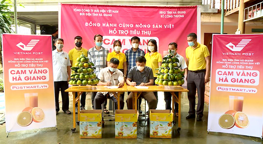 Bưu điện Hà Giang ký kết tiêu thụ sản phẩm cam trên sàn giao dịch PostMart với các HTX. Ảnh: C.T.V