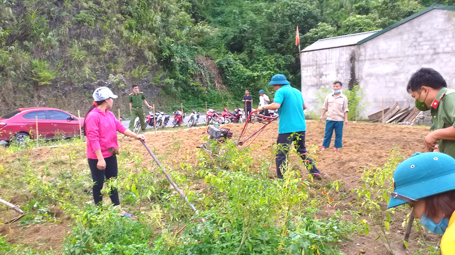 Hộ ông Triệu Quang Minh, thôn Tả Ván thực hiện cải tạo vườn tạp.