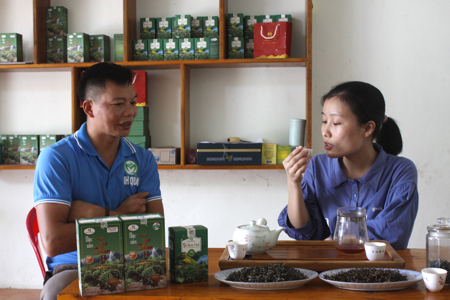 Giám đốc HTX chè Quang Minh, Phùng Sùn Chòi giới thiệu sản phẩm chè Shan tuyết với khách hàng.