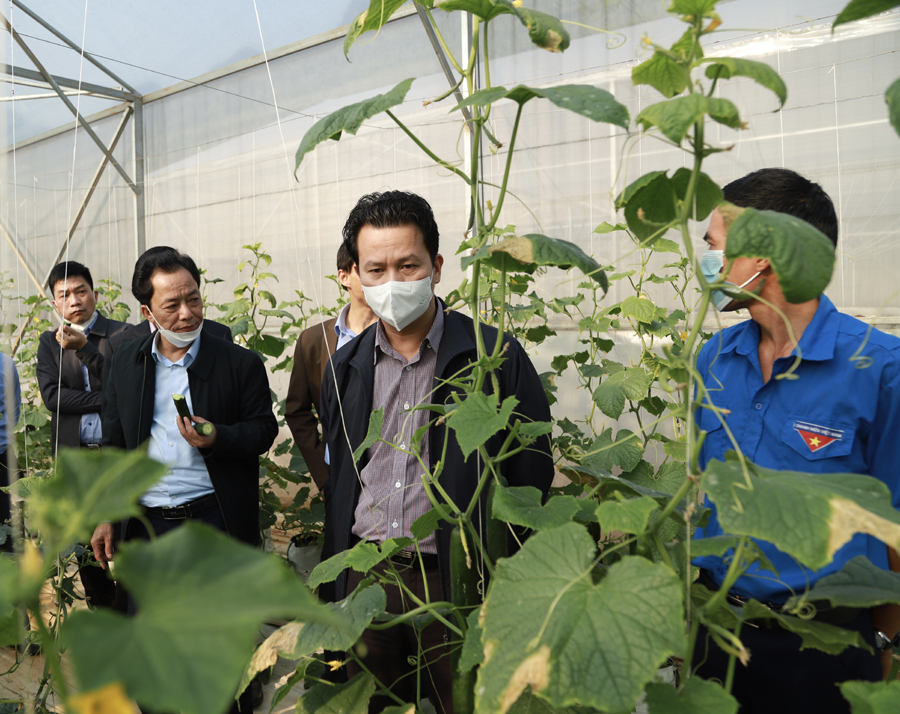 Đoàn tham quan mô hình cải tạo vườn, trồng dưa, dâu tây trong nhà lưới của anh Nguyễn Xuân Tiến, thôn Lùng Càng, xã Phong Quang 