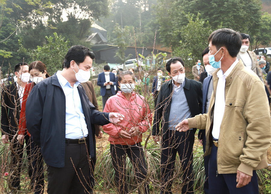 Bí thư Tỉnh ủy Đặng Quốc Khánh kiểm tra chương trình cải tạo vườn tạp tại thôn Mỹ Tân, xã Tân Quang
