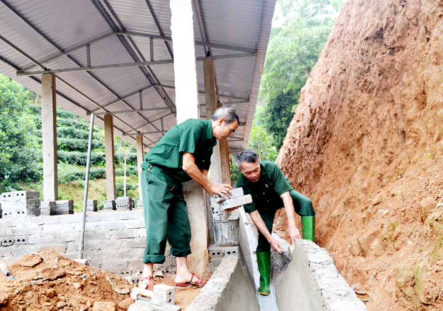 Thành viên Hội Người cao tuổi xã Tân Thành (Bắc Quang) giúp nhau xây dựng chuồng trại chăn nuôi. 									 (Ảnh chụp trước 25.10)