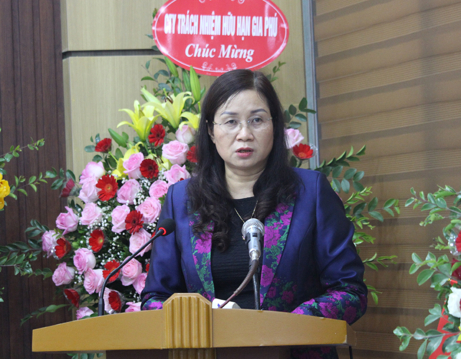 Phó Chủ tịch UBND tỉnh Hà Thị Minh Hạnh phát biểu tại hội nghị.