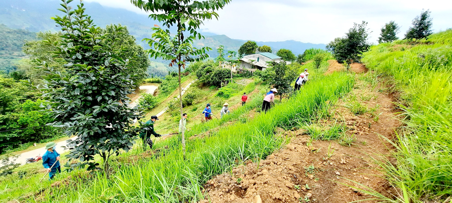 Nhân dân xã Đông Minh (Yên Minh) hỗ trợ gia đình anh Tháng Thanh Bắc, thôn Tu Đoóc cải tạo vườn tạp. 