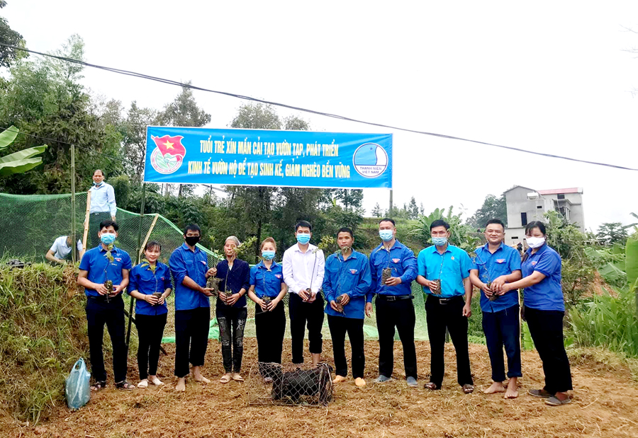 Huyện đoàn Xín Mần hỗ trợ ngày công, cây, con giống và giúp đoàn viên Vàng Văn Lương, xã Cốc Rế cải tạo vườn tạp.