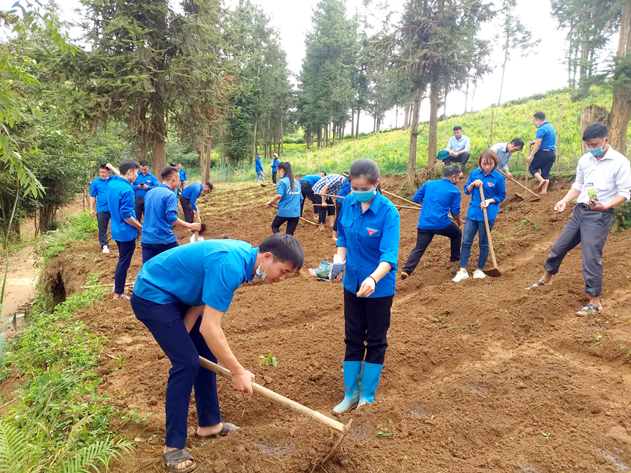 Đoàn viên, thanh niên huyện Xín Mần giúp anh Giàng Seo Chúng, thôn Xín Chải, xã Thèn Phàng cải tạo vườn tạp. 			Ảnh: VĂN LONG